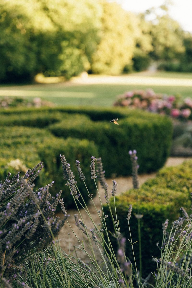the garden of chateau challain in summertime