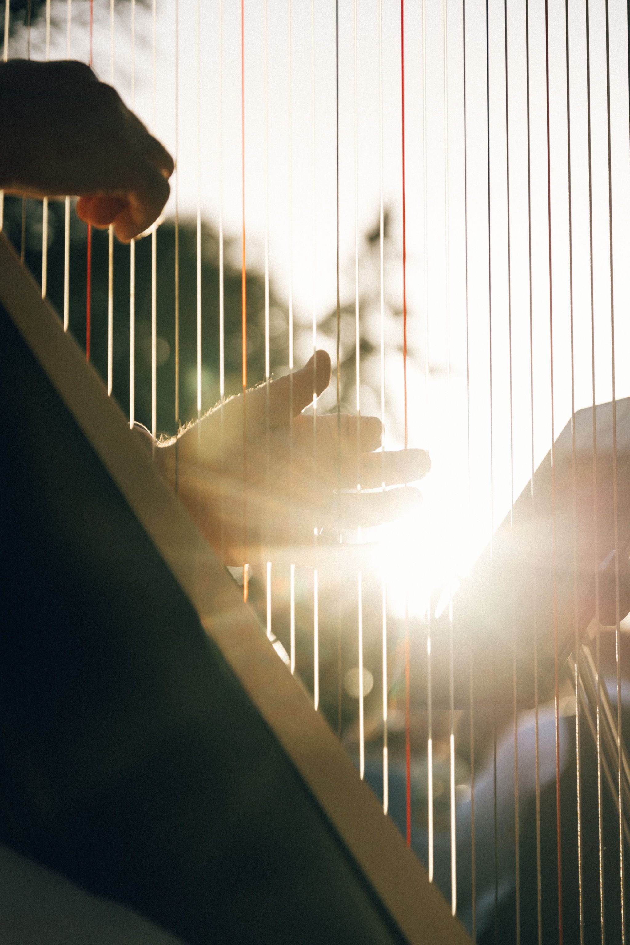 a harpist at a fairytale french elopement
