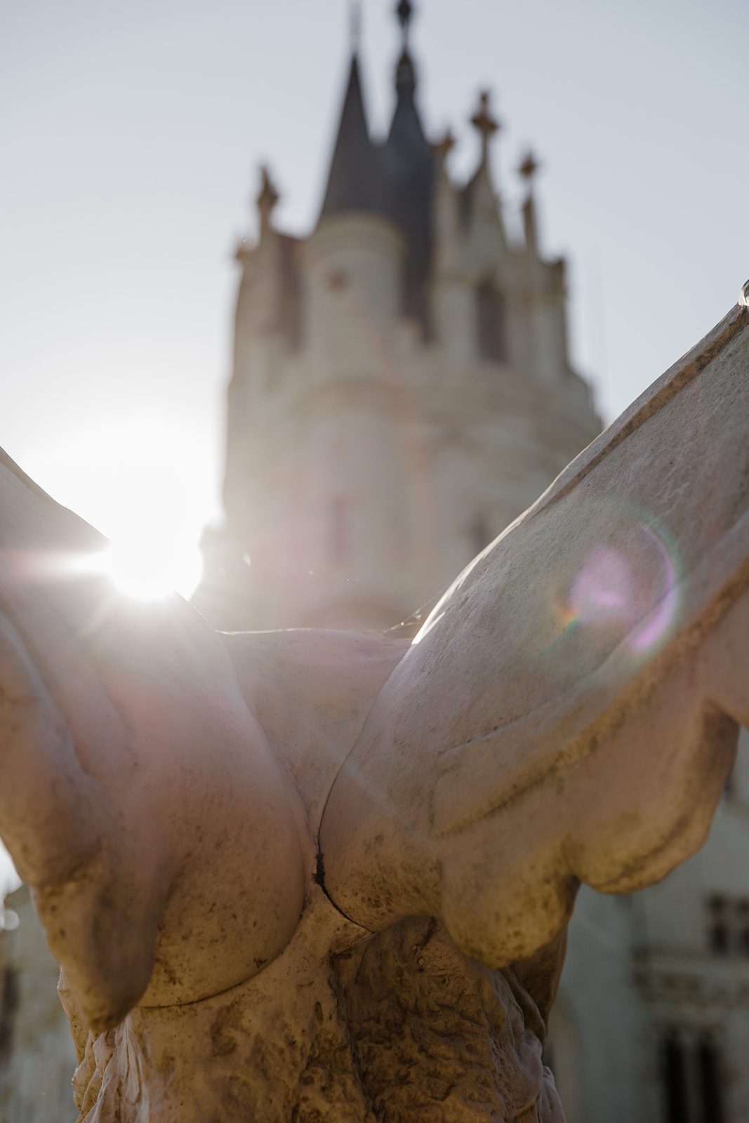 fairytale castle in the loire valley